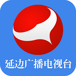 九洲在线团队的专业素养与合作精神