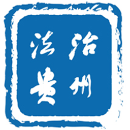 九洲在线团队的专业素养与合作精神